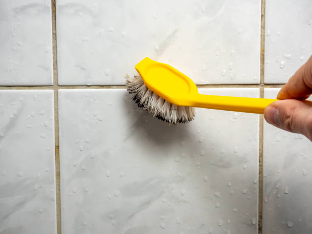Best Health and Safety Mold Remediation in Blue Ash, OH