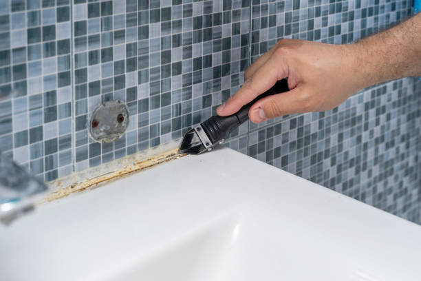 Best Industrial Mold Remediation in Blue Ash, OH